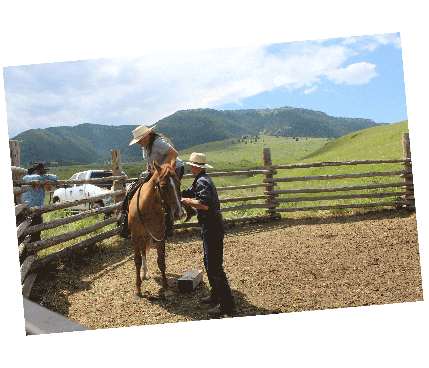 TX Ranch Horsemanship and Colt Clinics