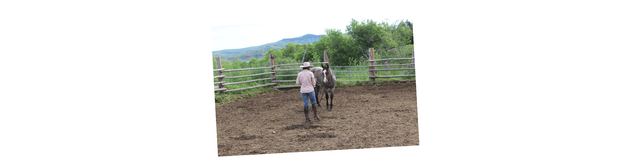 TX Ranch Horsemanship and Colt Clinics